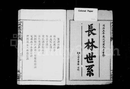 湖南林氏族谱-林氏族谱 [不分卷].pdf电子版预览图2