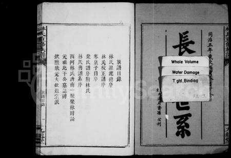 湖南林氏族谱-林氏族谱 [不分卷].pdf电子版预览图3