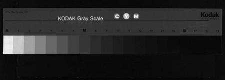 浙江王氏族谱-橙川王氏宗谱 [上下册].pdf电子版缩略图