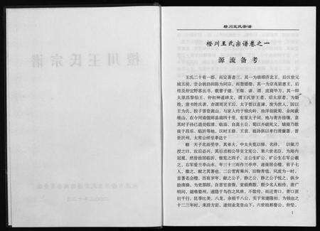 浙江王氏族谱-橙川王氏宗谱 [上下册].pdf电子版预览图3