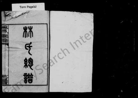 湖南林氏族谱-林氏总谱 [12卷].pdf电子版预览图2