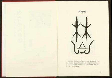 湖南林氏族谱-湘鄂林氏族谱.pdf电子版预览图3