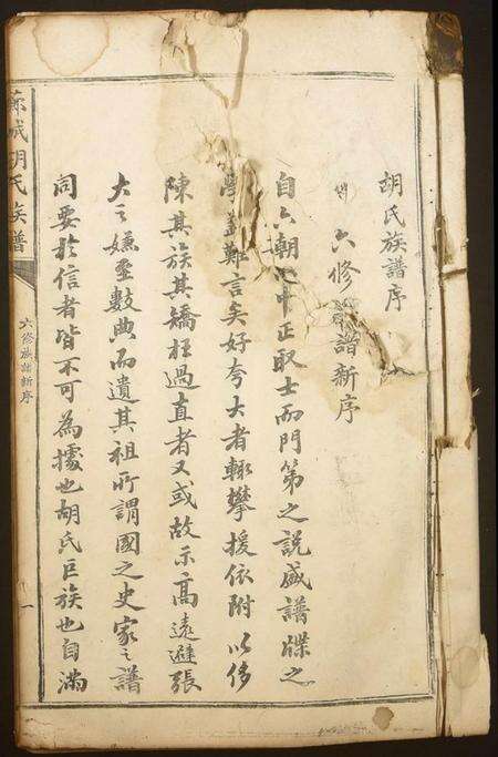 江西胡氏族谱-芗城胡氏族谱.pdf电子版缩略图