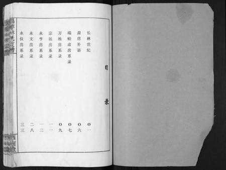 湖南林氏族谱-沩甯林氏支谱.绍肃房[4卷].pdf电子版预览图1