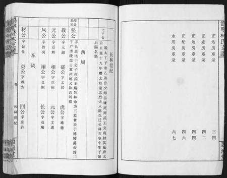 湖南林氏族谱-沩甯林氏支谱.绍肃房[4卷].pdf电子版预览图2