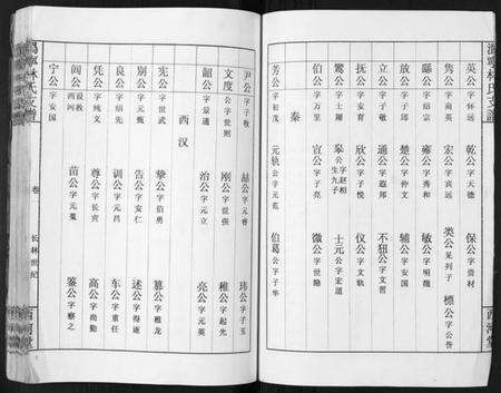 湖南林氏族谱-沩甯林氏支谱.绍肃房[4卷].pdf电子版预览图3