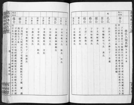 湖南林氏族谱-沩甯林氏支谱.绍肃房[4卷].pdf电子版预览图5