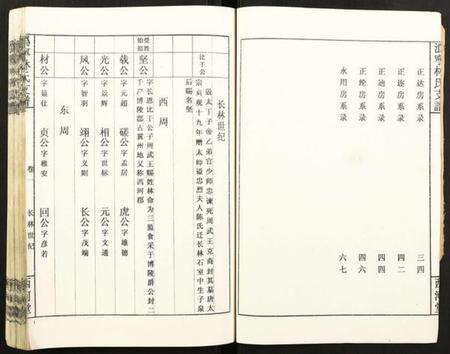 湖南林氏族谱-潙宁林氏支谱.pdf电子版预览图2