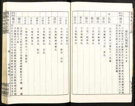 湖南林氏族谱-潙宁林氏支谱.pdf电子版预览图5