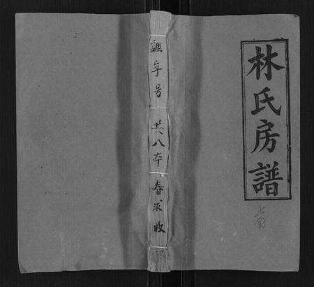 湖南林氏族谱-邵陵仁风林氏房谱[6卷首末各1卷].pdf电子版缩略图