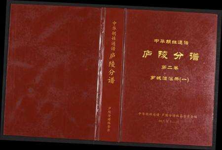 江西胡氏族谱-世界胡氏通谱江西庐陵分谱.pdf电子版缩略图