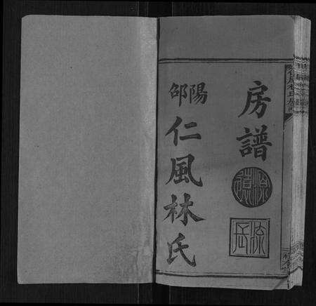 湖南林氏族谱-邵陵仁风林氏房谱[6卷首末各1卷].pdf电子版预览图1