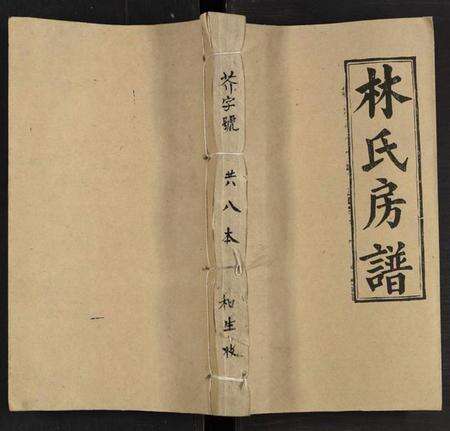湖南林氏族谱-邵阳仁风林氏房谱 [6卷及卷首末].pdf电子版缩略图