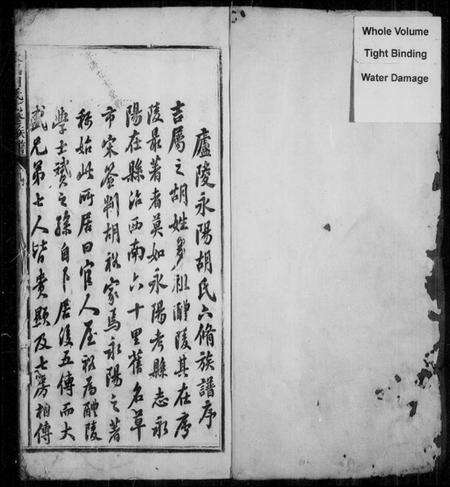 江西胡氏族谱-永阳胡氏七修族谱 [不分卷].pdf电子版预览图2