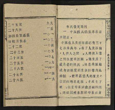 湖南林氏族谱-邵阳仁风林氏房谱 [6卷及卷首末].pdf电子版预览图3