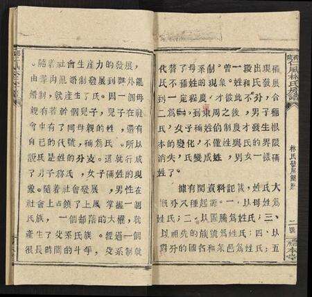 湖南林氏族谱-邵阳仁风林氏房谱 [6卷及卷首末].pdf电子版预览图4