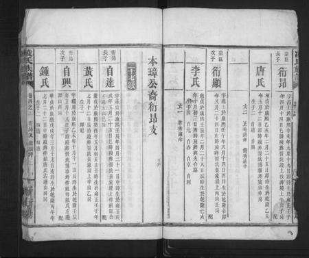 湖南凌氏族谱-凌氏宗谱 [残卷].pdf电子版预览图2