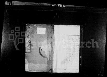 浙江许氏族谱-武林城东许氏宗谱 [10卷].pdf电子版预览图1