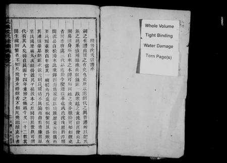 浙江沈氏族谱-武义沈氏宗谱 [5卷].pdf电子版预览图2