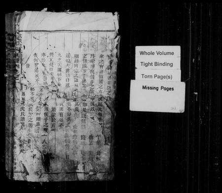 浙江沈氏族谱-武义沈氏宗谱 [5卷].pdf电子版预览图2