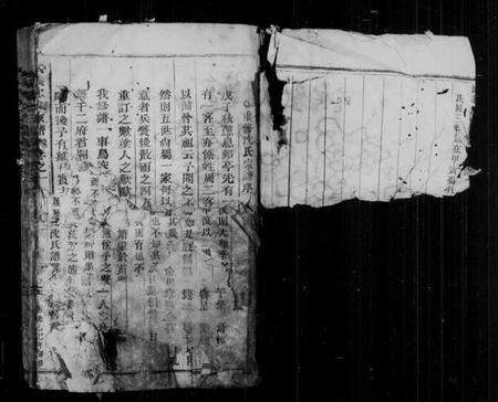 浙江沈氏族谱-武义沈氏宗谱 [5卷].pdf电子版预览图3