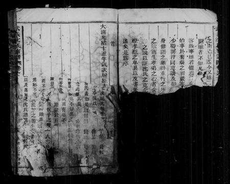 浙江沈氏族谱-武义沈氏宗谱 [5卷].pdf电子版预览图4