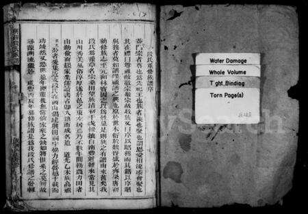 浙江段氏族谱-段氏族谱 [不分卷].pdf电子版预览图3