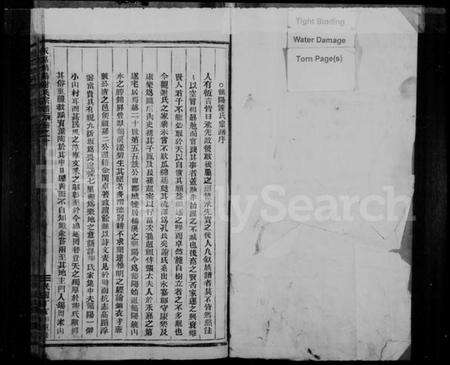 浙江谢氏族谱-永嘉鹤阳谢氏宗谱 [世系3卷,行传10卷].pdf电子版预览图2