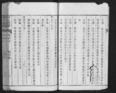 江西许氏族谱-许氏族谱.pdf电子版预览图2