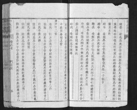 江西许氏族谱-许氏族谱.pdf电子版预览图5