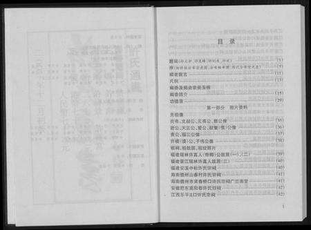 江西许氏族谱-许氏通书.pdf电子版预览图4