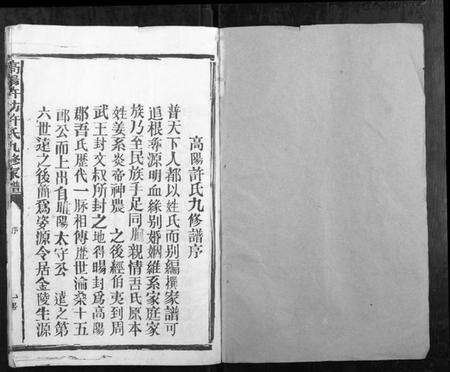 江西许氏族谱-高阳许坊许氏九修家谱[21卷].pdf电子版预览图1