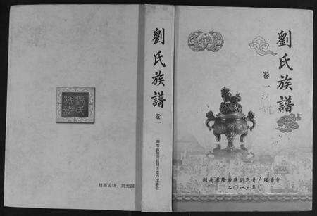 湖南刘氏族谱-刘氏奇户族谱.pdf电子版缩略图