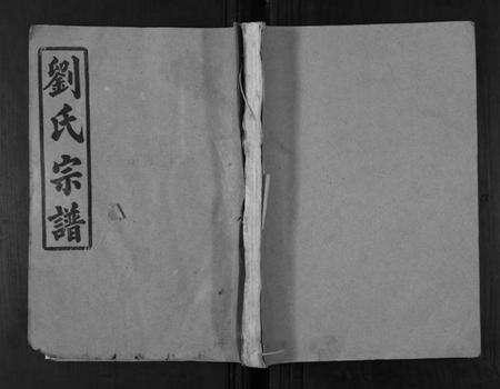 湖南刘氏族谱-刘氏宗谱[39卷].pdf电子版缩略图