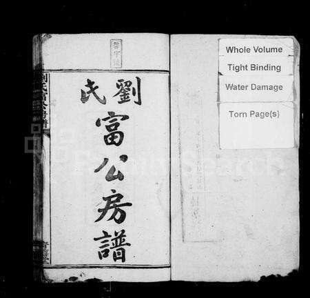 湖南刘氏族谱-刘氏富公房谱 [6卷,首2卷].pdf电子版预览图2