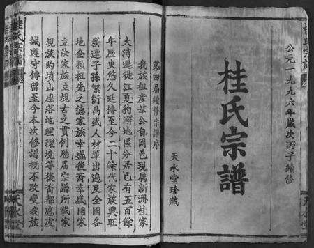 湖北桂氏族谱-桂氏宗谱.pdf电子版预览图2