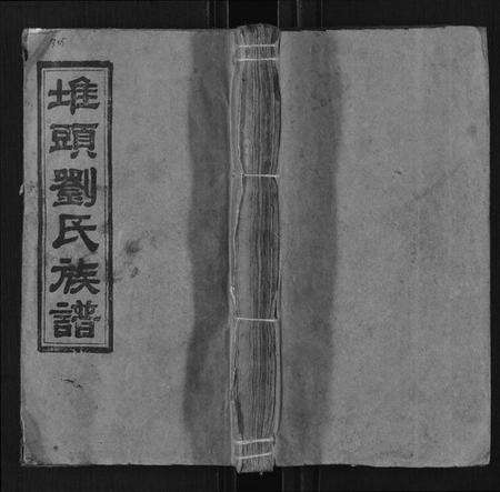 湖南刘氏族谱-堆头刘氏族谱[52卷首1卷末3卷].pdf电子版缩略图