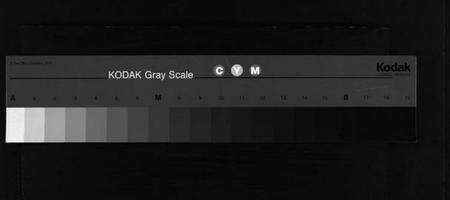 浙江周氏族谱-泮川周氏宗谱.pdf电子版缩略图