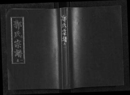 湖北郭氏族谱-郭氏宗谱[4卷].pdf电子版缩略图