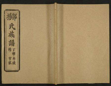 湖北郭杨氏族谱-郭杨氏宗谱.pdf电子版缩略图