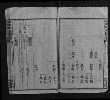 湖南刘氏族谱-东湖刘氏五修族谱.pdf电子版预览图4