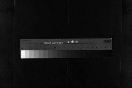 浙江林氏族谱-浙江省乐清市乐东林氏大宗谱 [3篇].pdf电子版缩略图