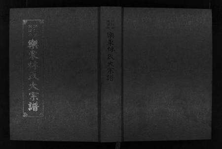 浙江林氏族谱-浙江省乐清市乐东林氏大宗谱 [3篇].pdf电子版预览图1