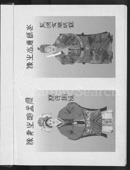 浙江应氏族谱-浦江县城应店应氏宗谱 [不分卷].pdf电子版预览图3