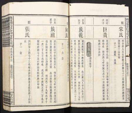 湖南刘氏族谱-醴东刘宗臣公祠合修宗谱.pdf电子版预览图2