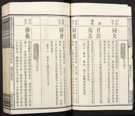 湖南刘氏族谱-醴东刘宗臣公祠合修宗谱.pdf电子版预览图3