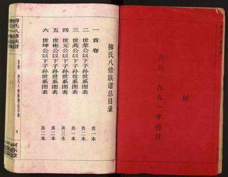 湖南柳氏族谱-柳氏八修族谱.pdf电子版预览图2