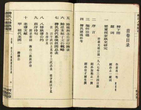 湖南柳氏族谱-柳氏八修族谱.pdf电子版预览图3
