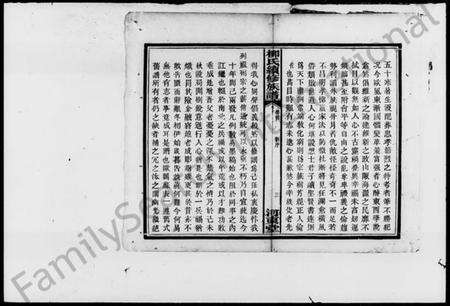 湖南柳氏族谱-柳氏续修族谱 [2卷,首末各1卷].pdf电子版预览图5