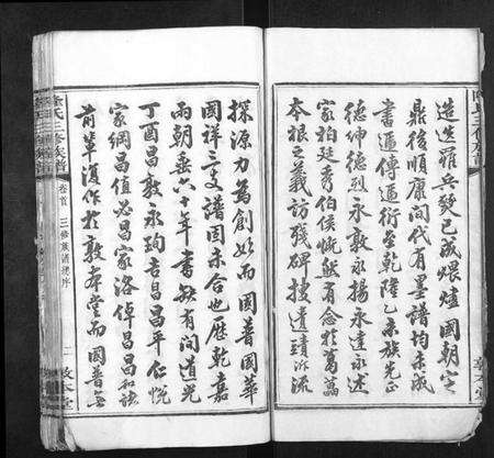 湖南隆氏族谱-隆氏三修族谱.pdf电子版预览图2